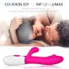 2 in 1 Rabbit Quiet Female Vibrators with Powerful Motors Clitoral Vibrator, Vibrating Dildos for Women Back and forth Vibrators for Women